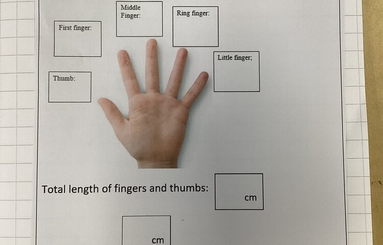 Image of Maths Day